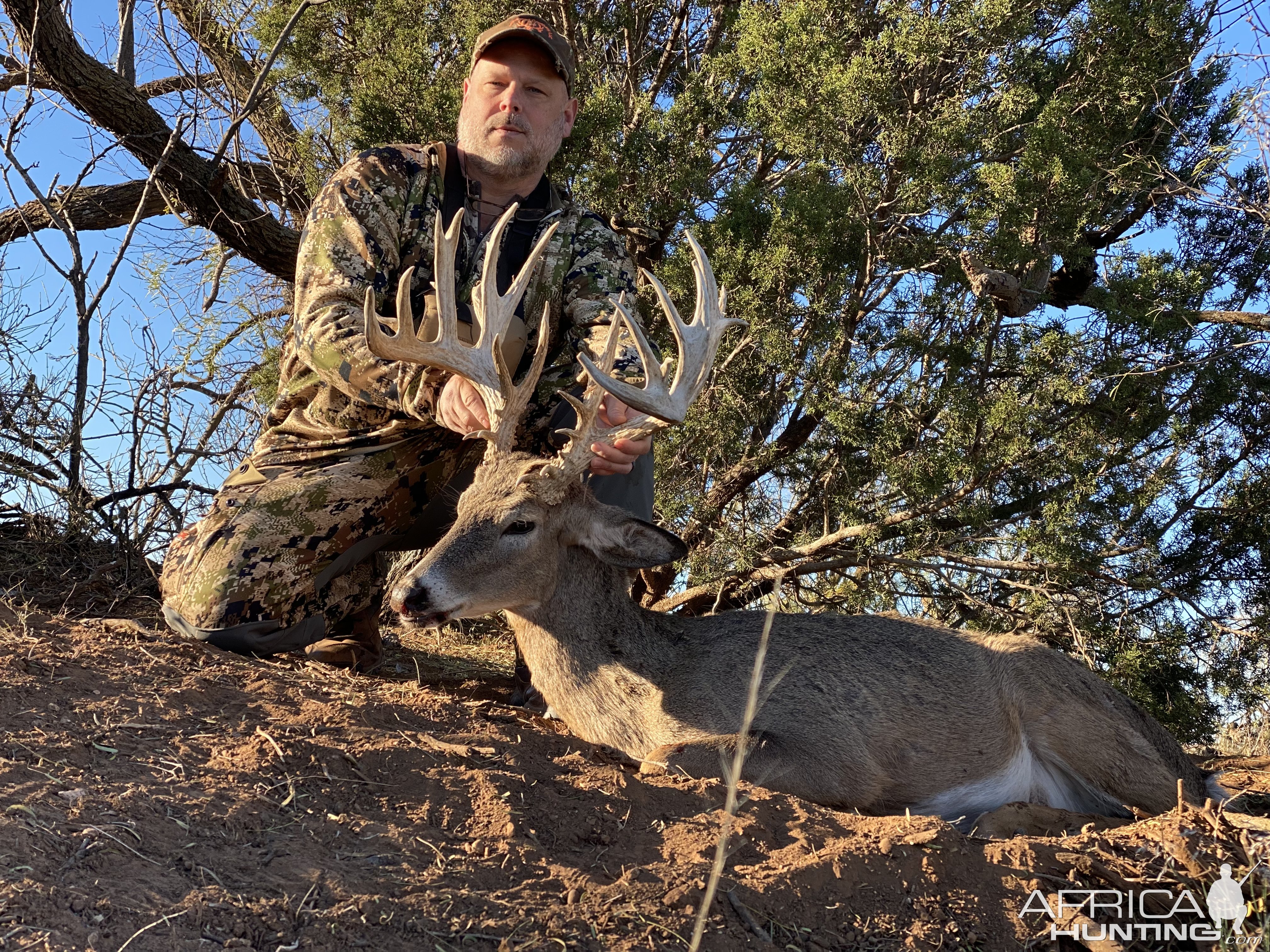 Whitetail Hunting Texas