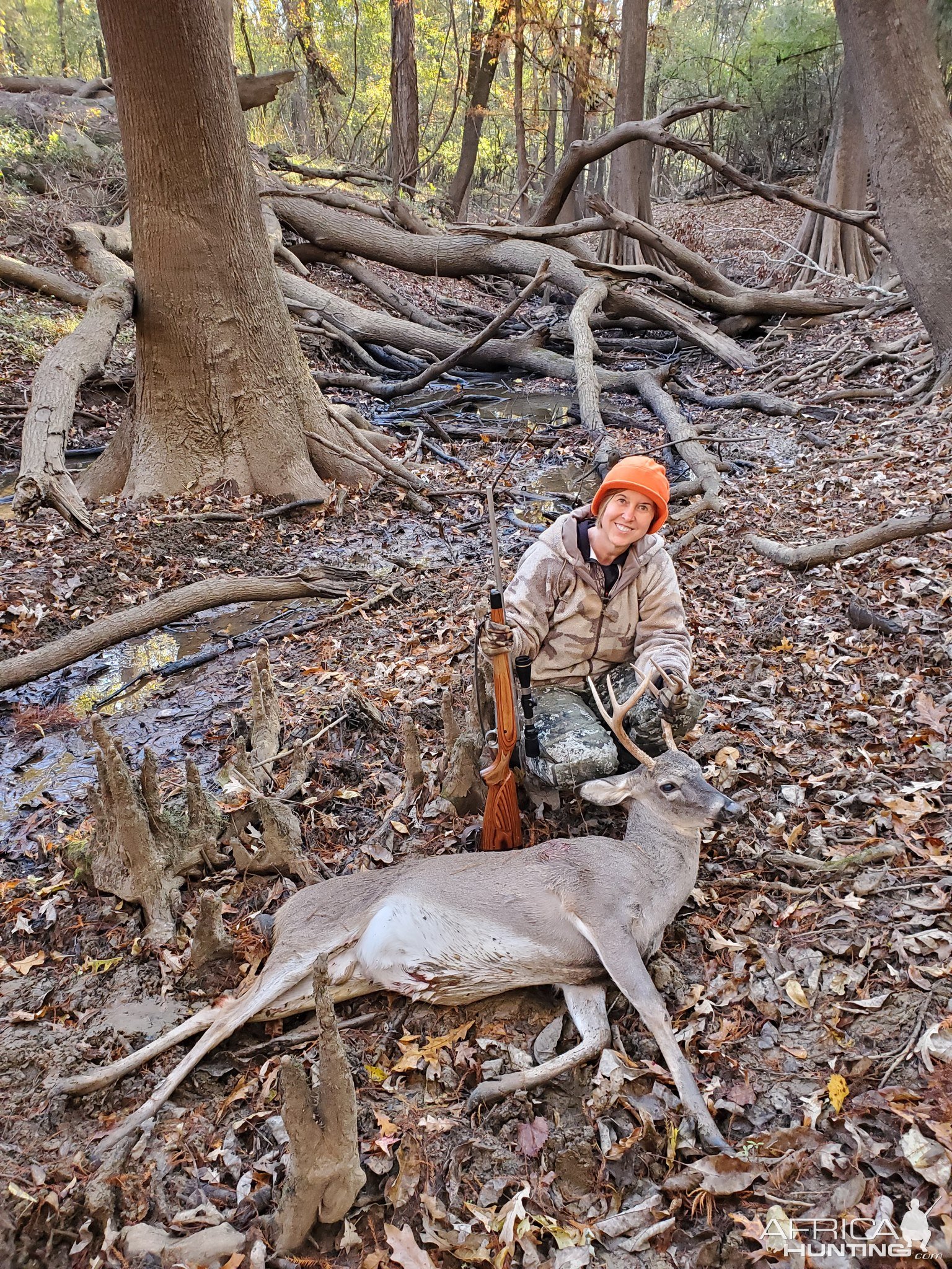 Whitetail Hunting