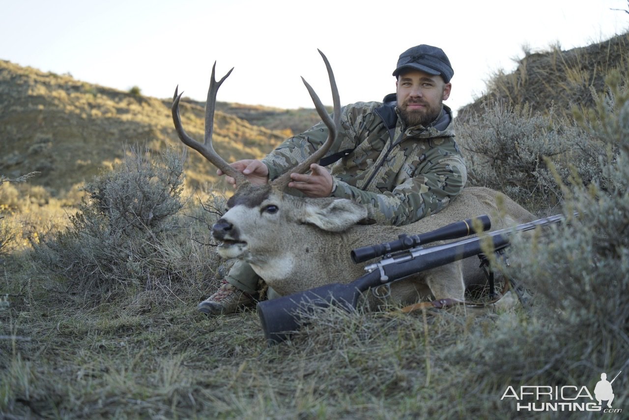 Whitetail Hunting