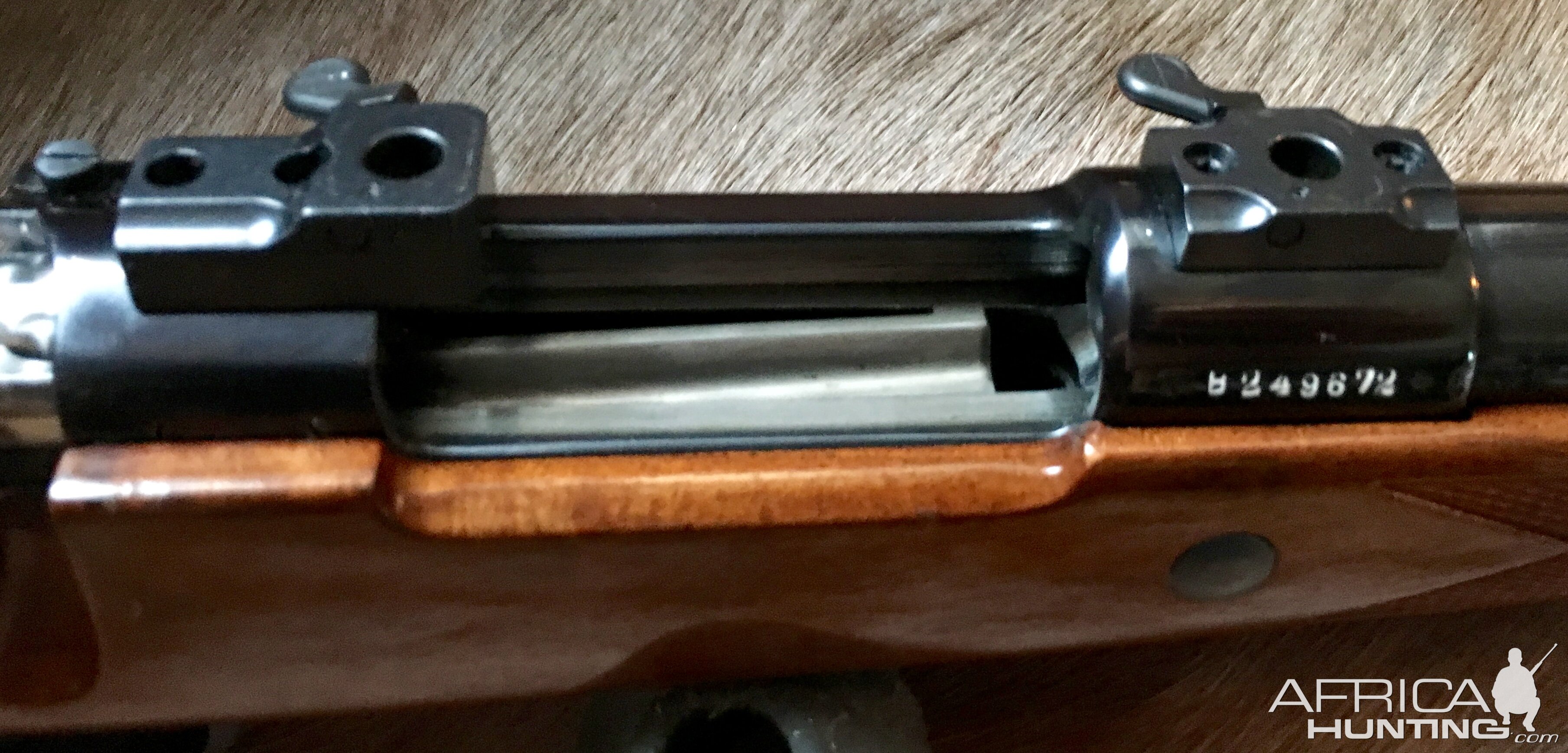 Whitworth .375 H&H