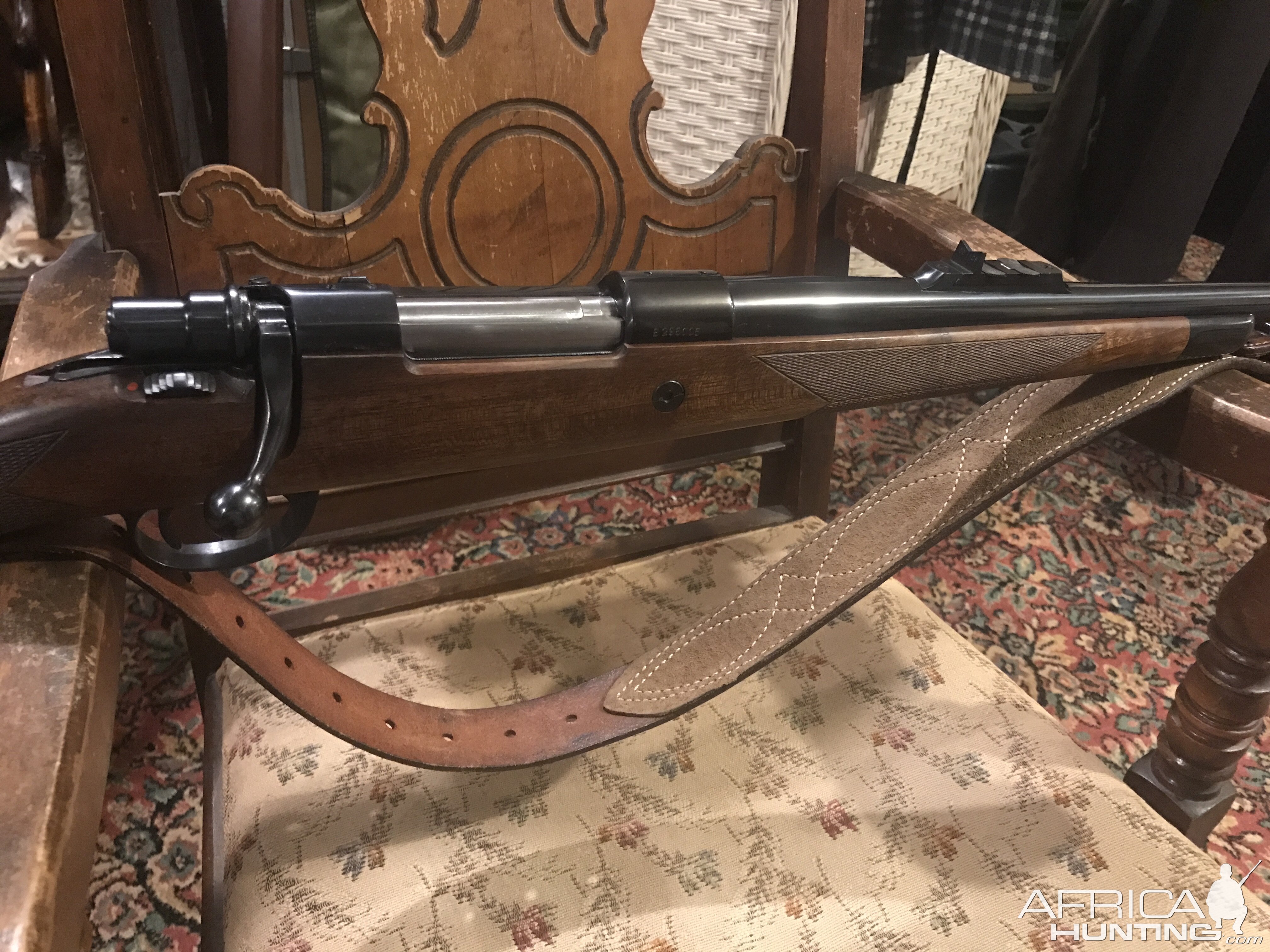 whitworth 458 Rifle