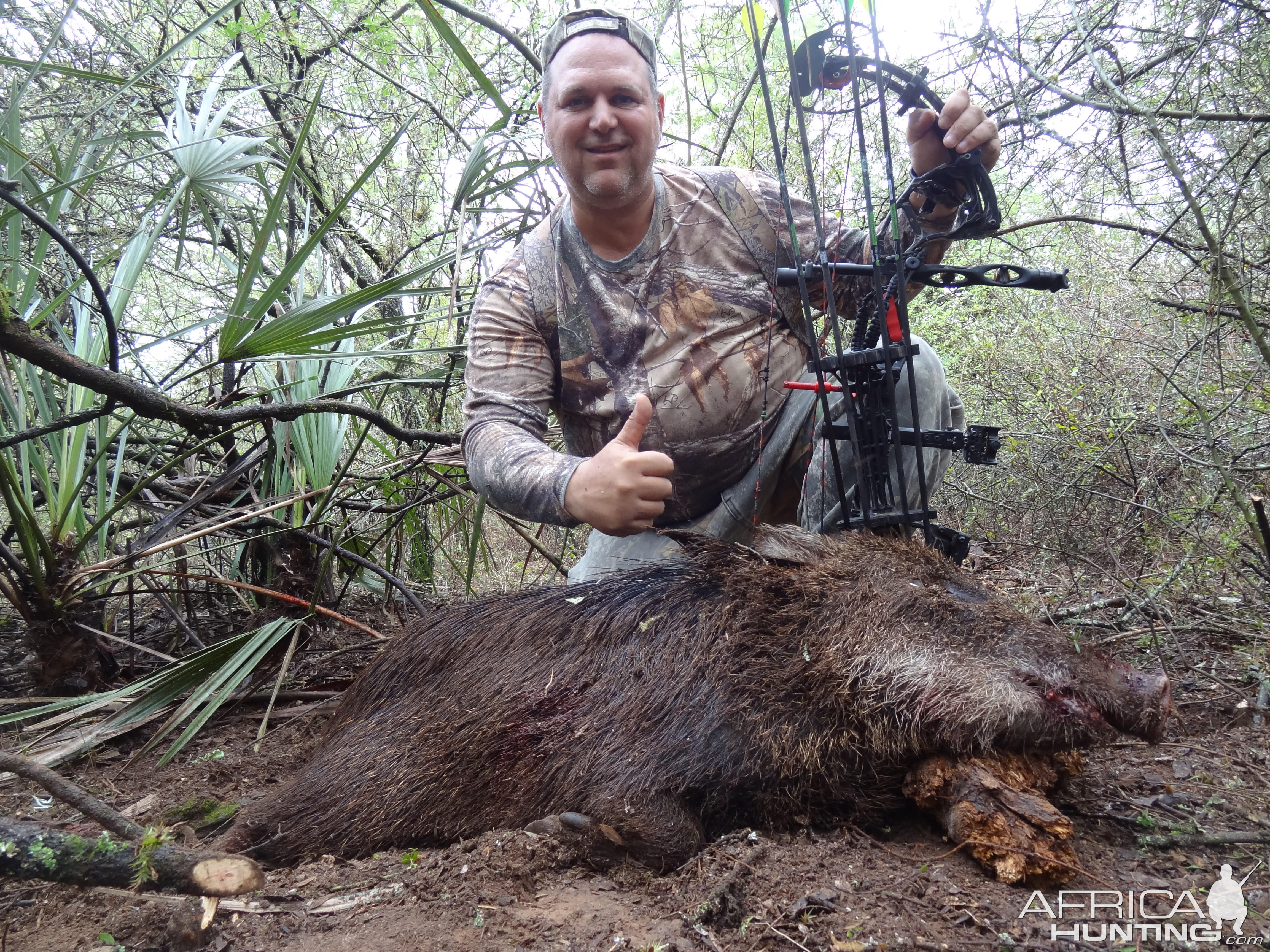 Wild Boar Bow Hunt Argentina