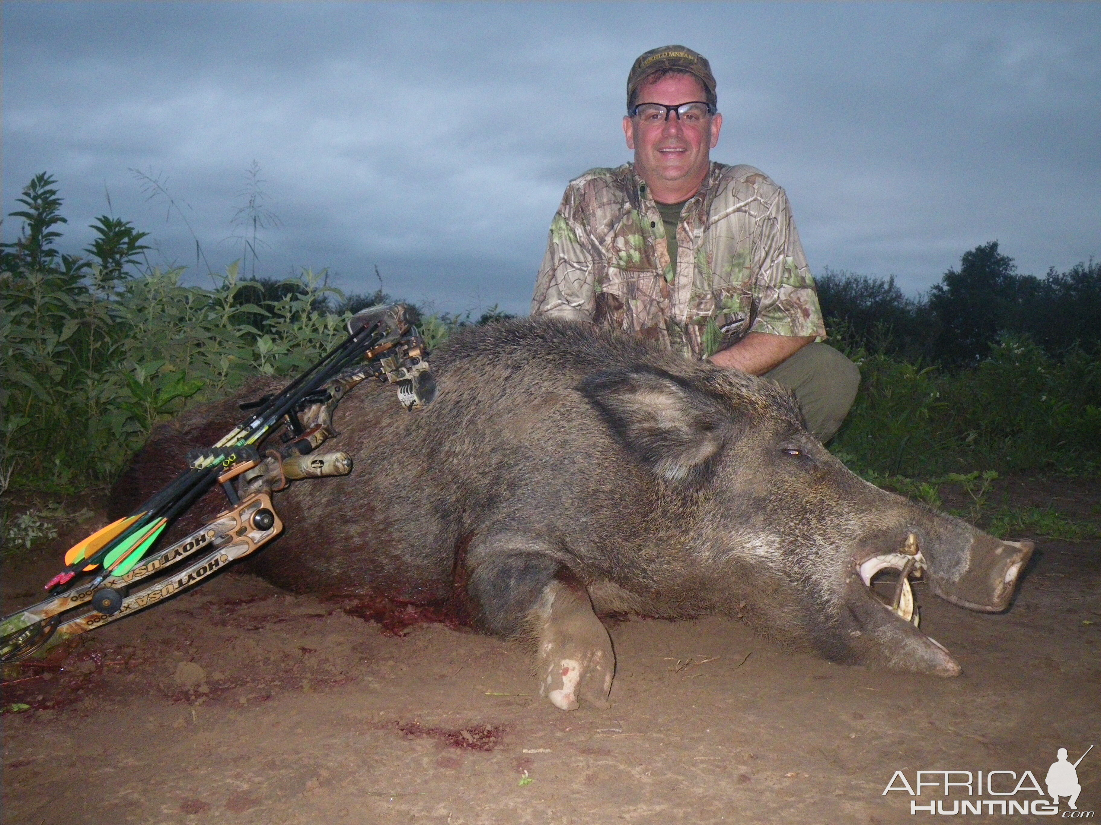 Wild Boar Bow Hunt Argentina