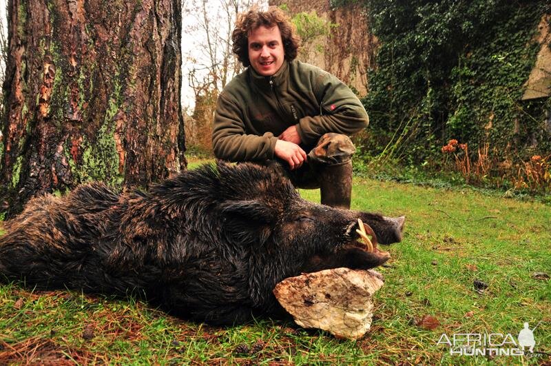 Wild Boar Hunt in France