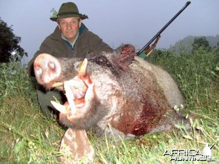 Wild Boar Hunt in Tadjikistan