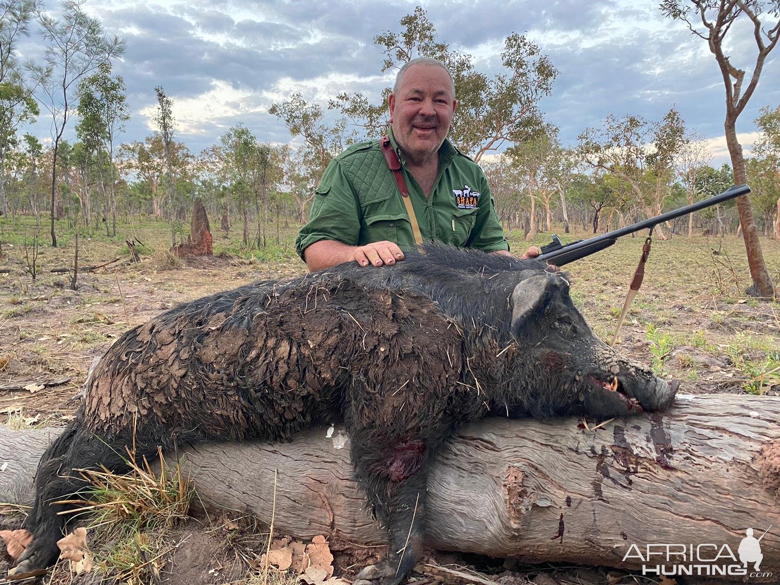 Wild Boar Hunt Northern Territory Australia