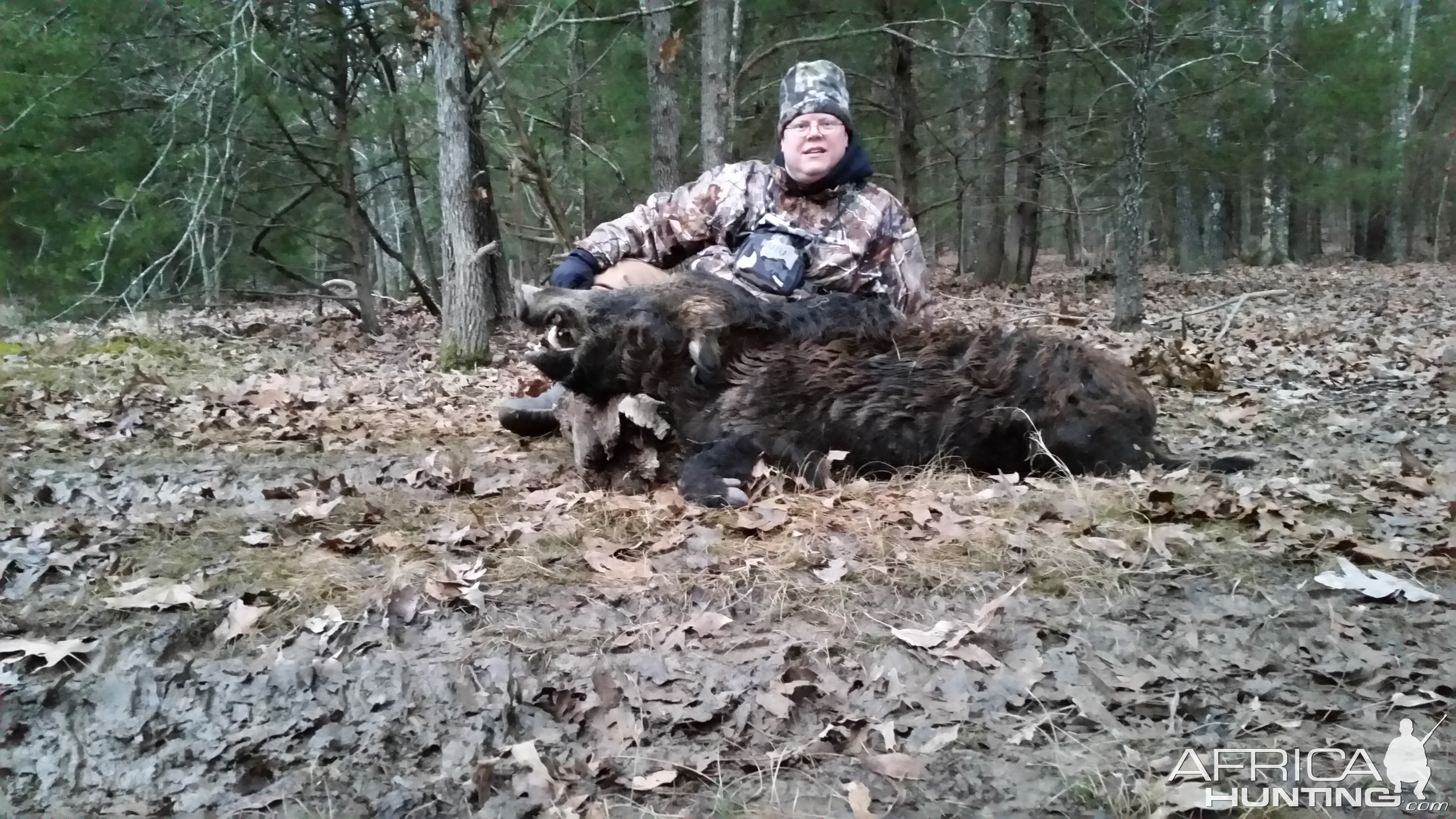 Wild Boar Hunt USA