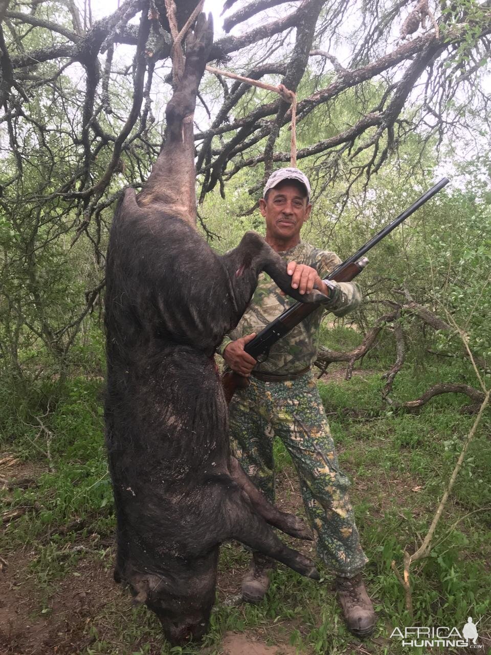 Wild Boar Hunting Argentina