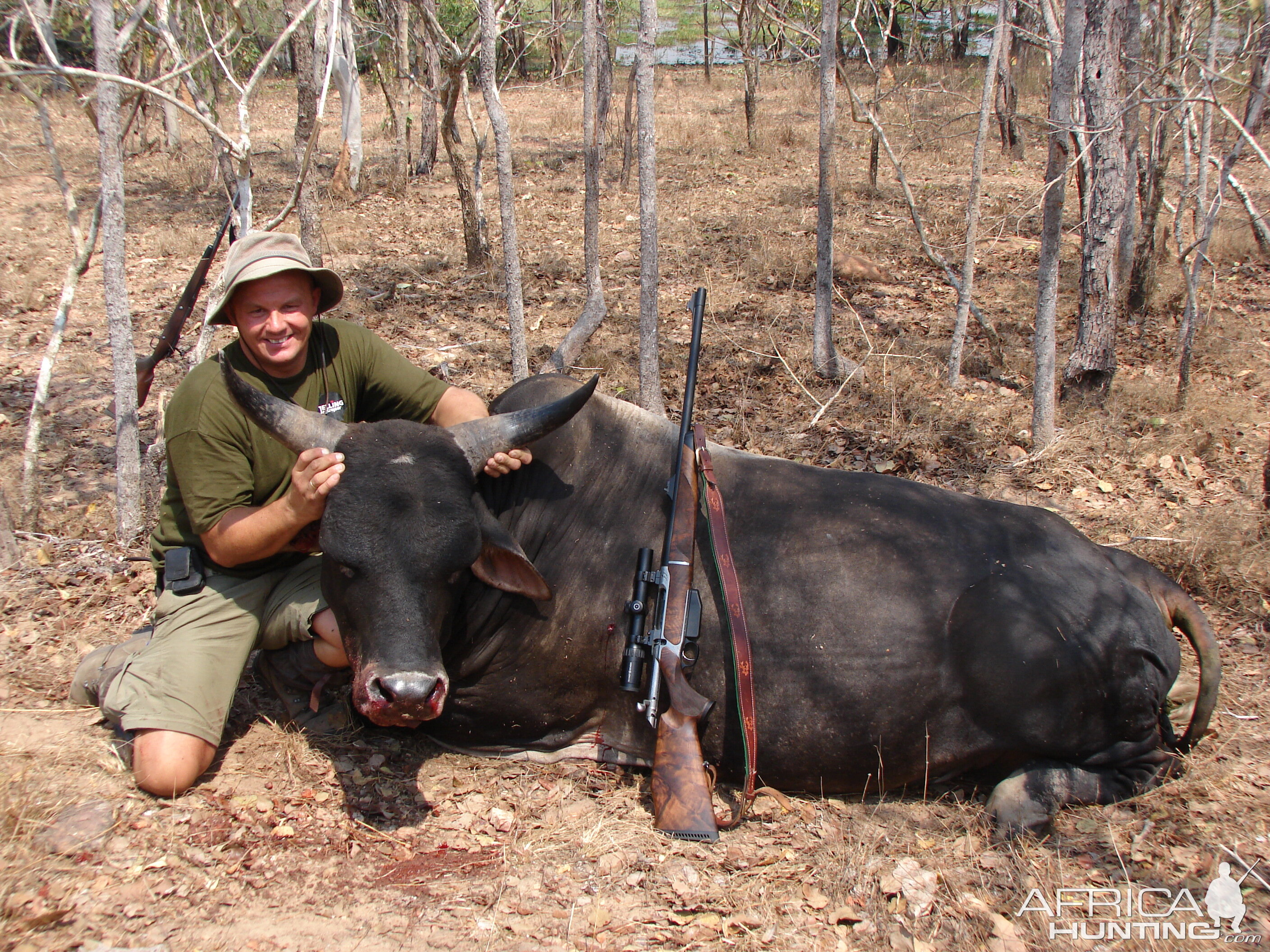 Wild Bull Hunt Murwangi Outstation Arafura Swamp Australia