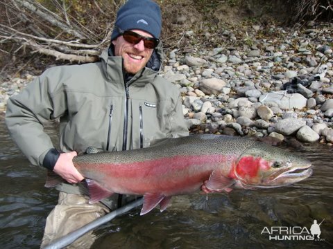 Wild Steelhead Fishing