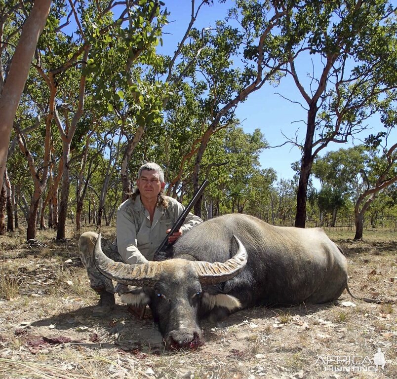 Wild Water Buffalo Hunting Australia