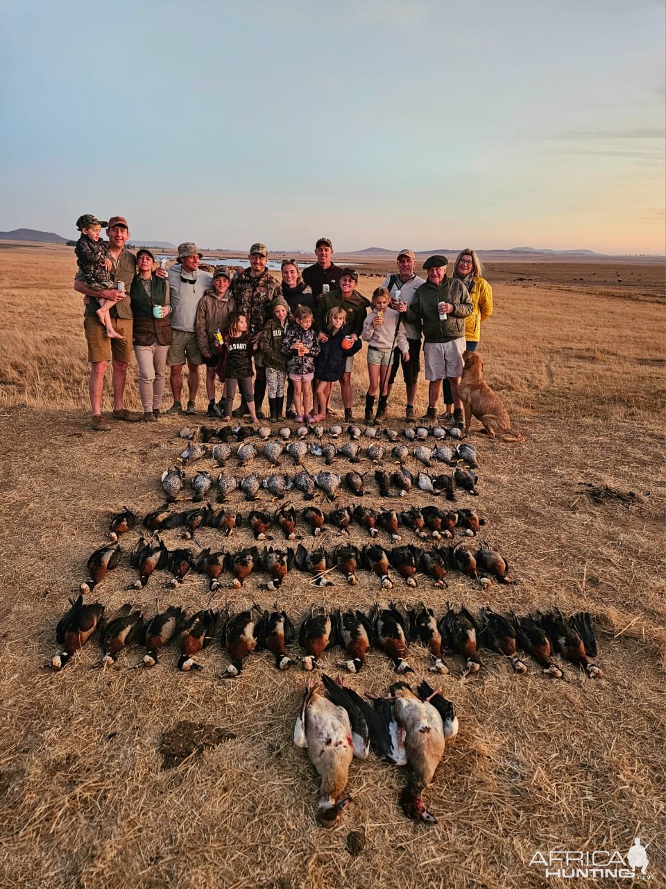 Wild Waterfowl shooting South Africa