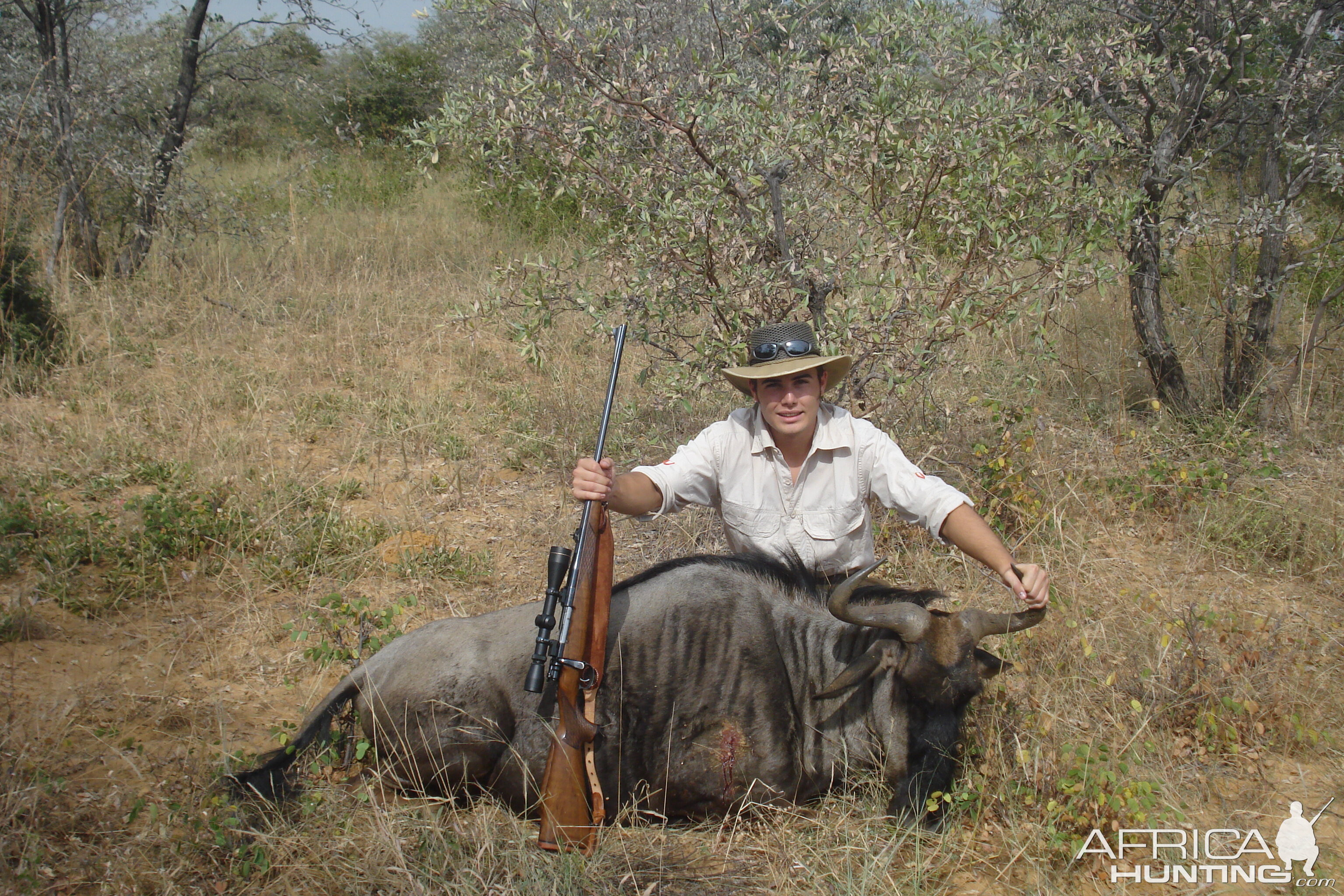 Wildebeest- Ellisras 2009