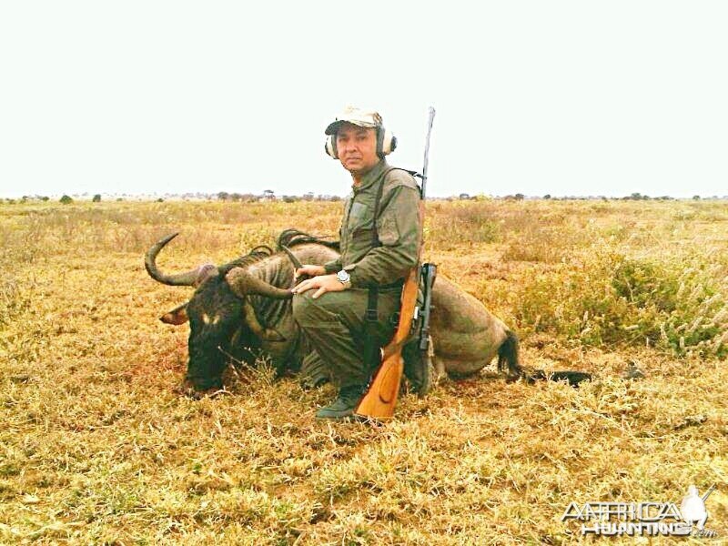 Wildebeest Shot at Emboret, Tanzania