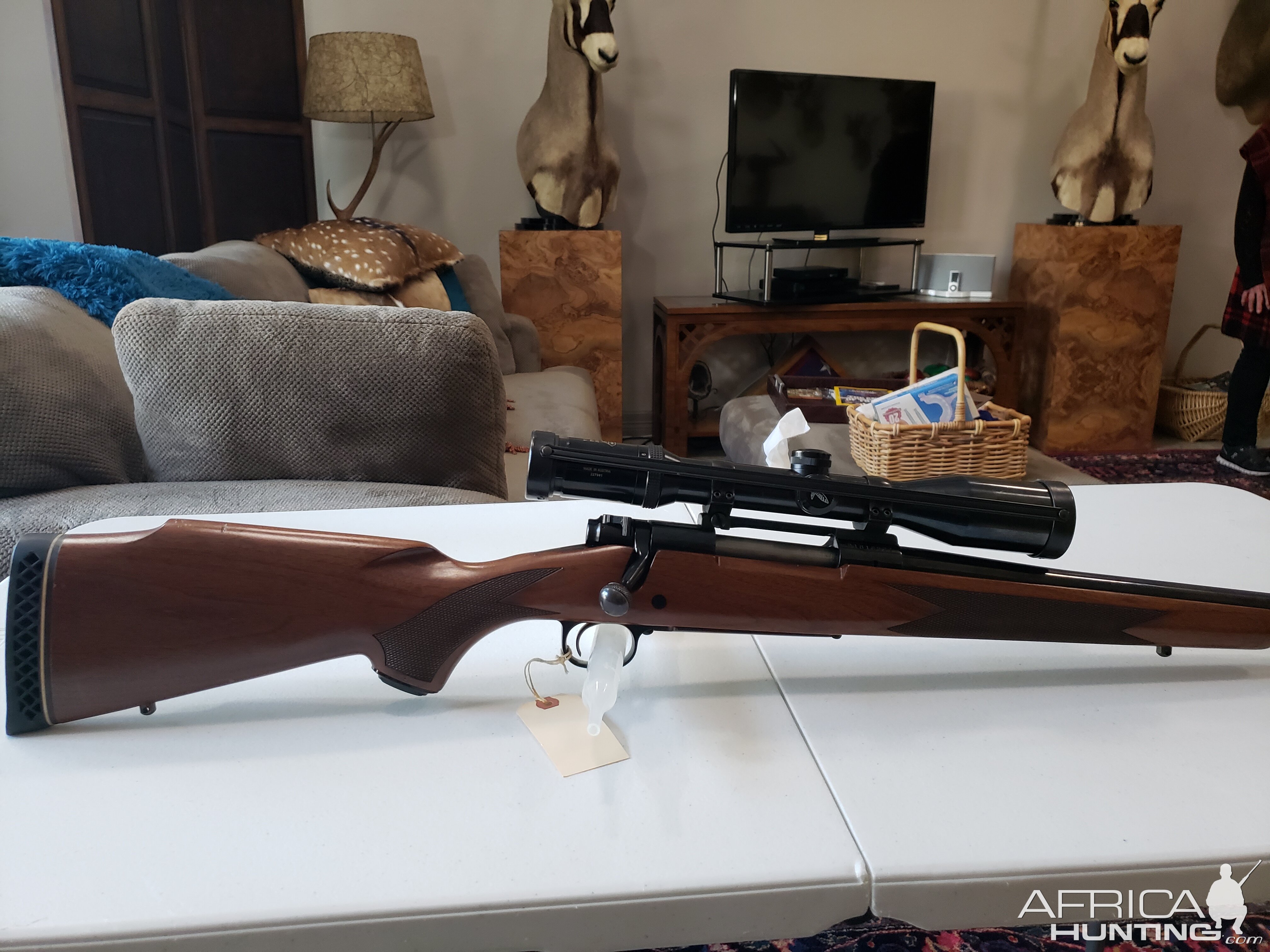 Winchester Model 70 Rifle in 300 Weatherby