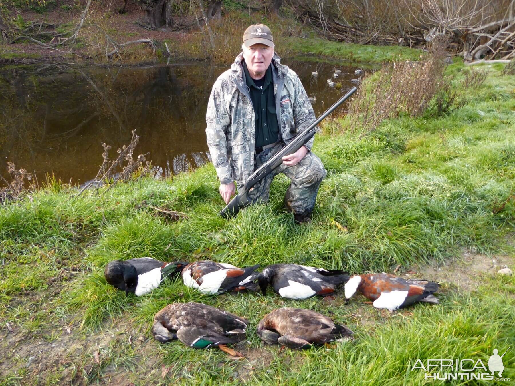 WIng Shooting Ducks in New Zealand