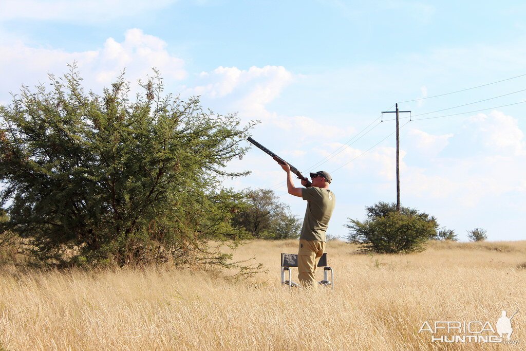 Wing Shooting in South Africa