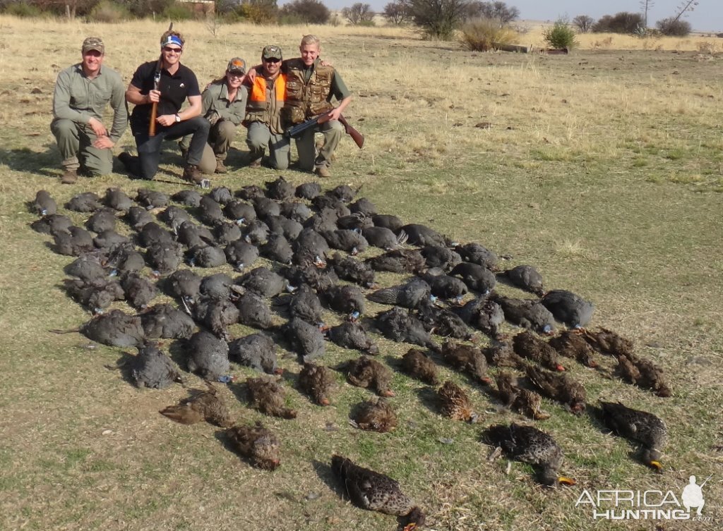 Wing Shooting in South Africa