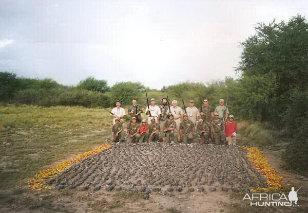 Wingshooting Dove in Argentina