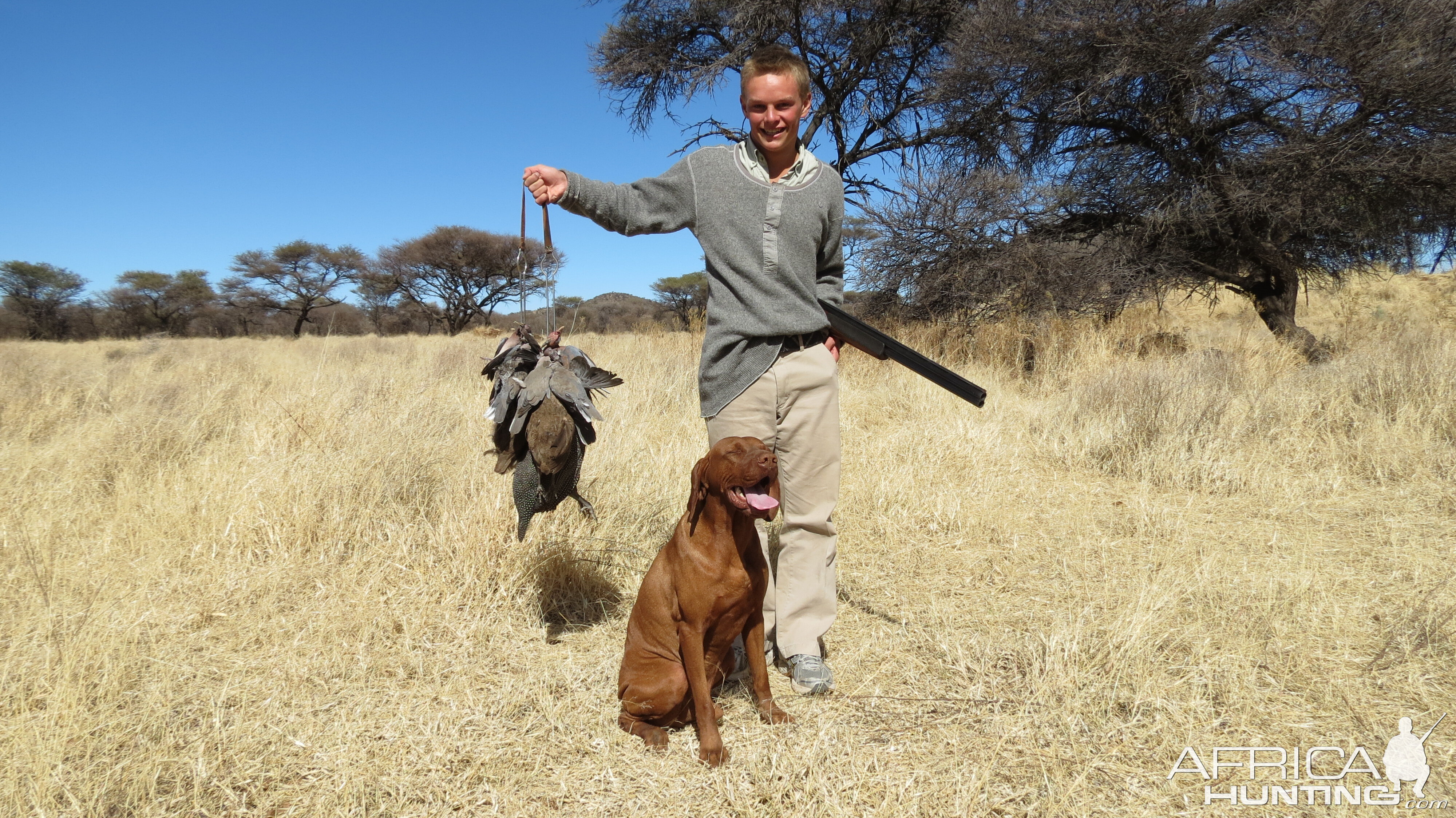 Wingshooting Dove in Namibia