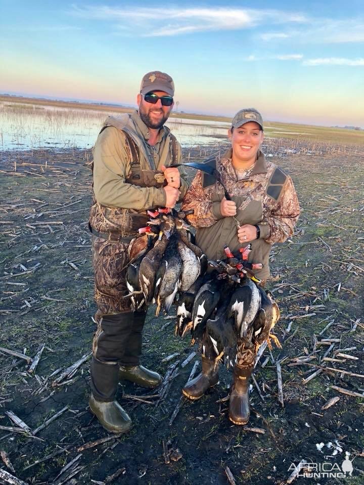 Wingshooting Ducks in Argentina