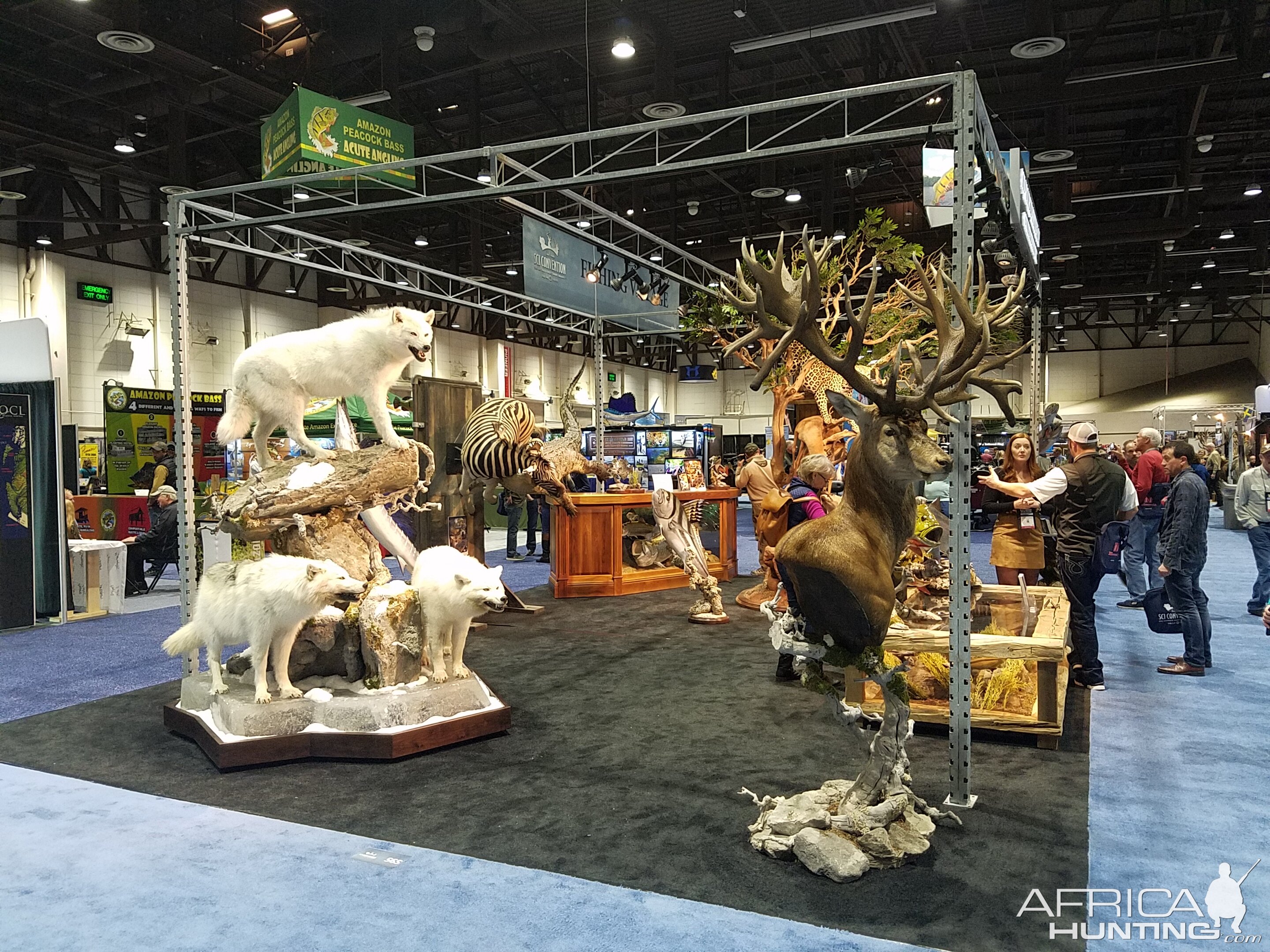 Wolves  Full Mount & Red Stag Pedestal Mount Taxidermy at Safari Club International (SCI) Convention Reno 2020