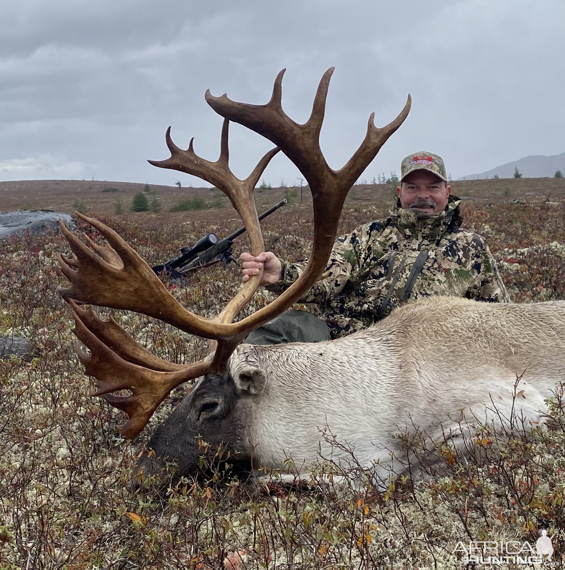 Woodland Caribou Hunt Canada