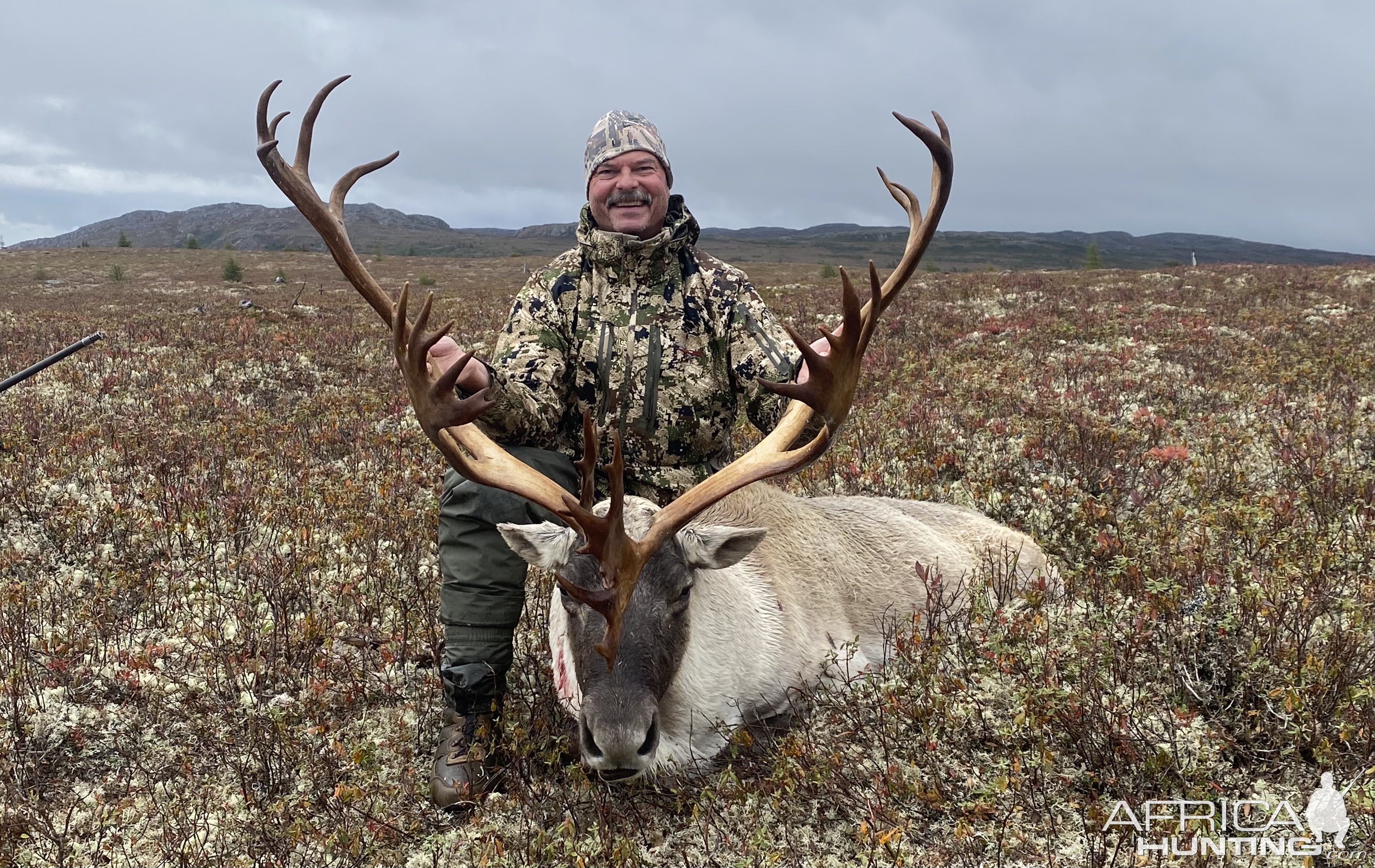 Woodland Caribou Hunt Canada