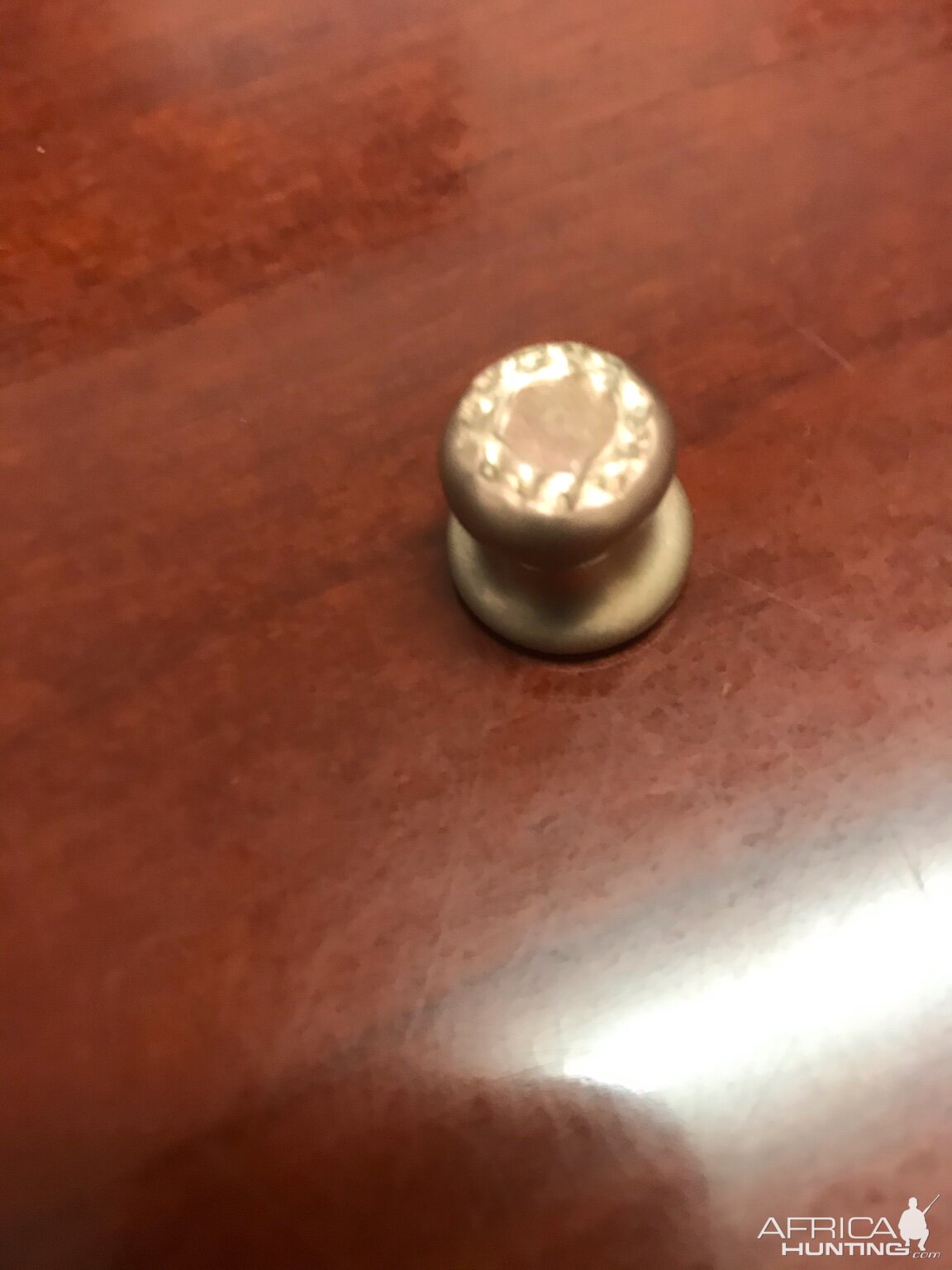 Woodleigh weldcore 450 grain bullet in 416 caliber Bullet Performance