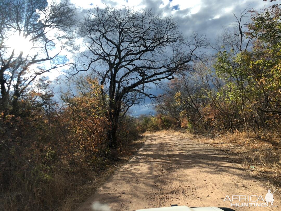 Work in progress - Building a new camp Zimbabwe