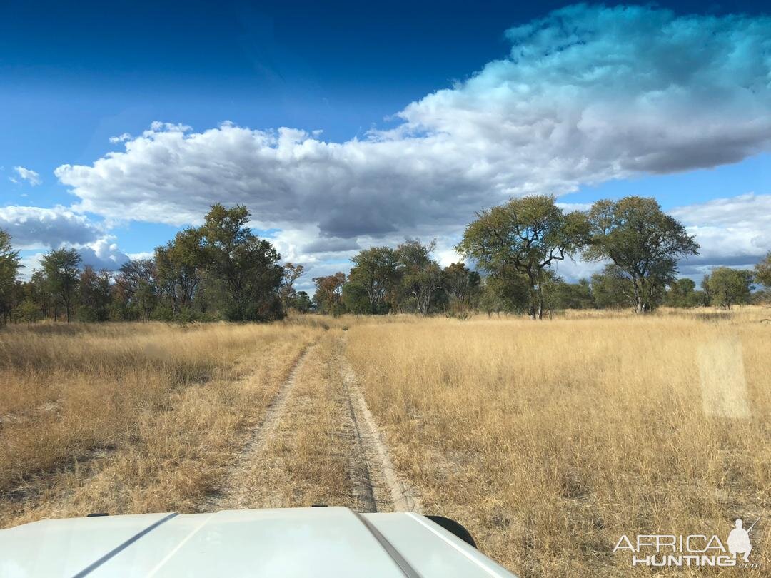 Work in progress - Building a new camp Zimbabwe