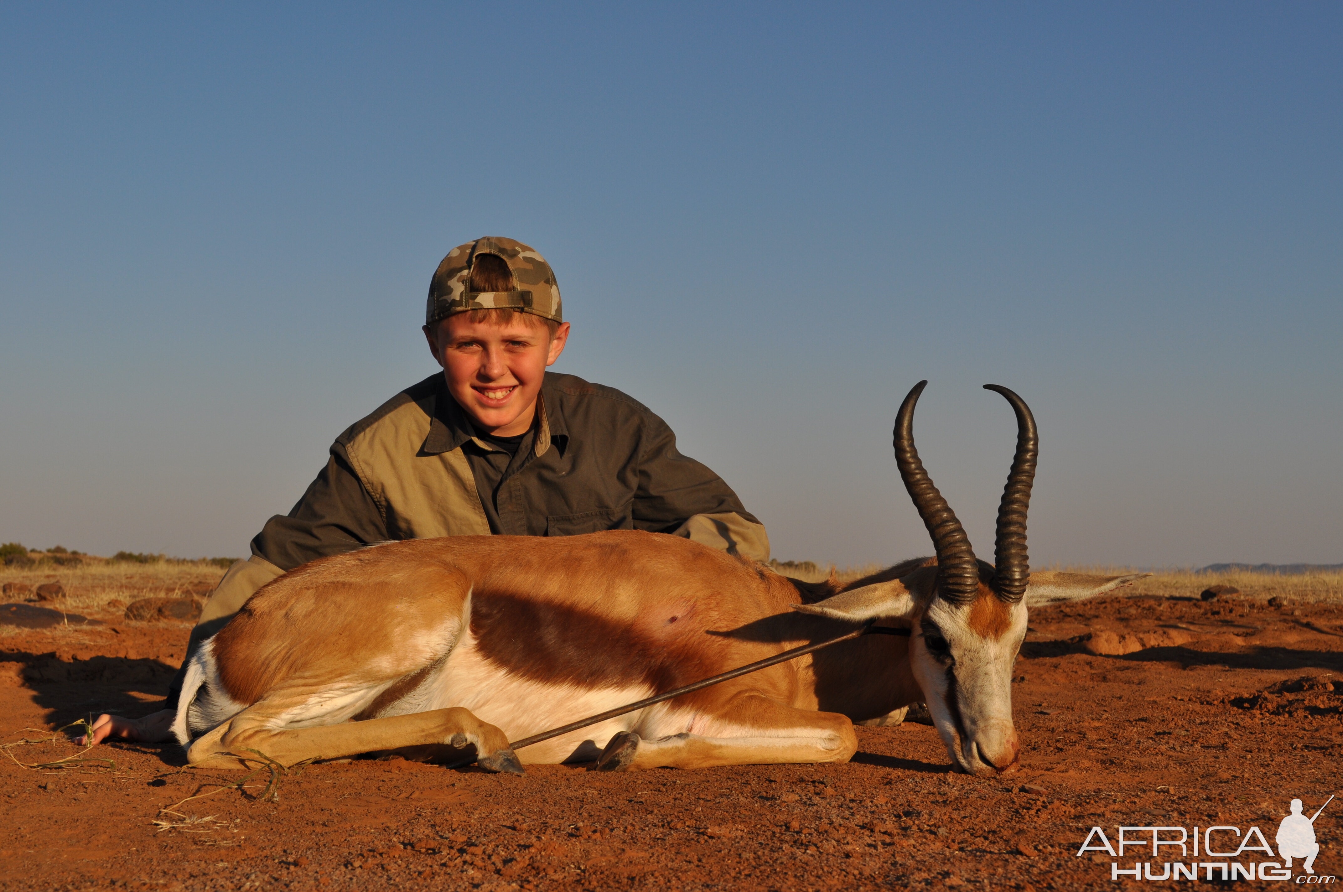 Wyatt's Springbok with White Lion Safaris