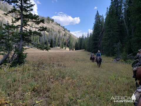 Wyoming Archery Elk Hunt 2018