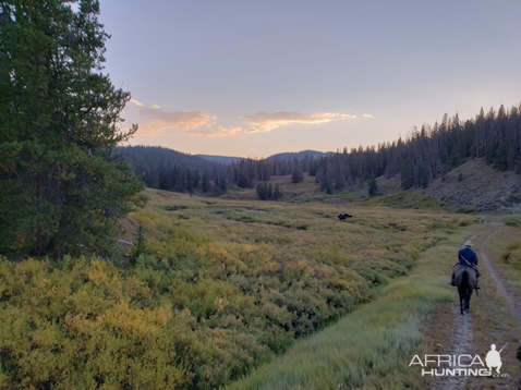 Wyoming Archery Elk Hunt 2018