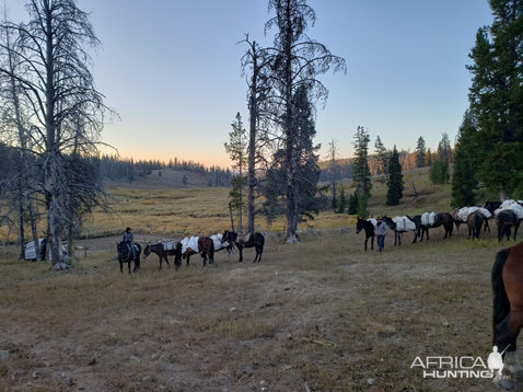 Wyoming Archery Elk Hunt 2018