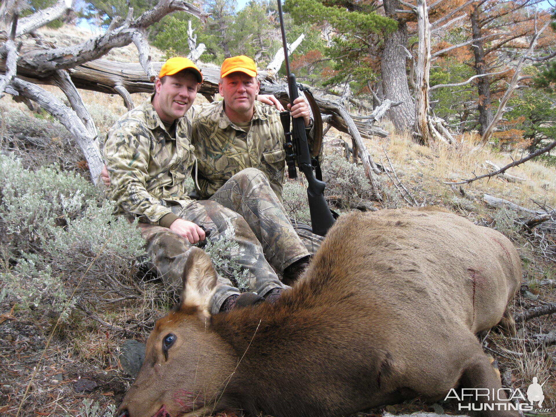 Wyoming Elk Hunting