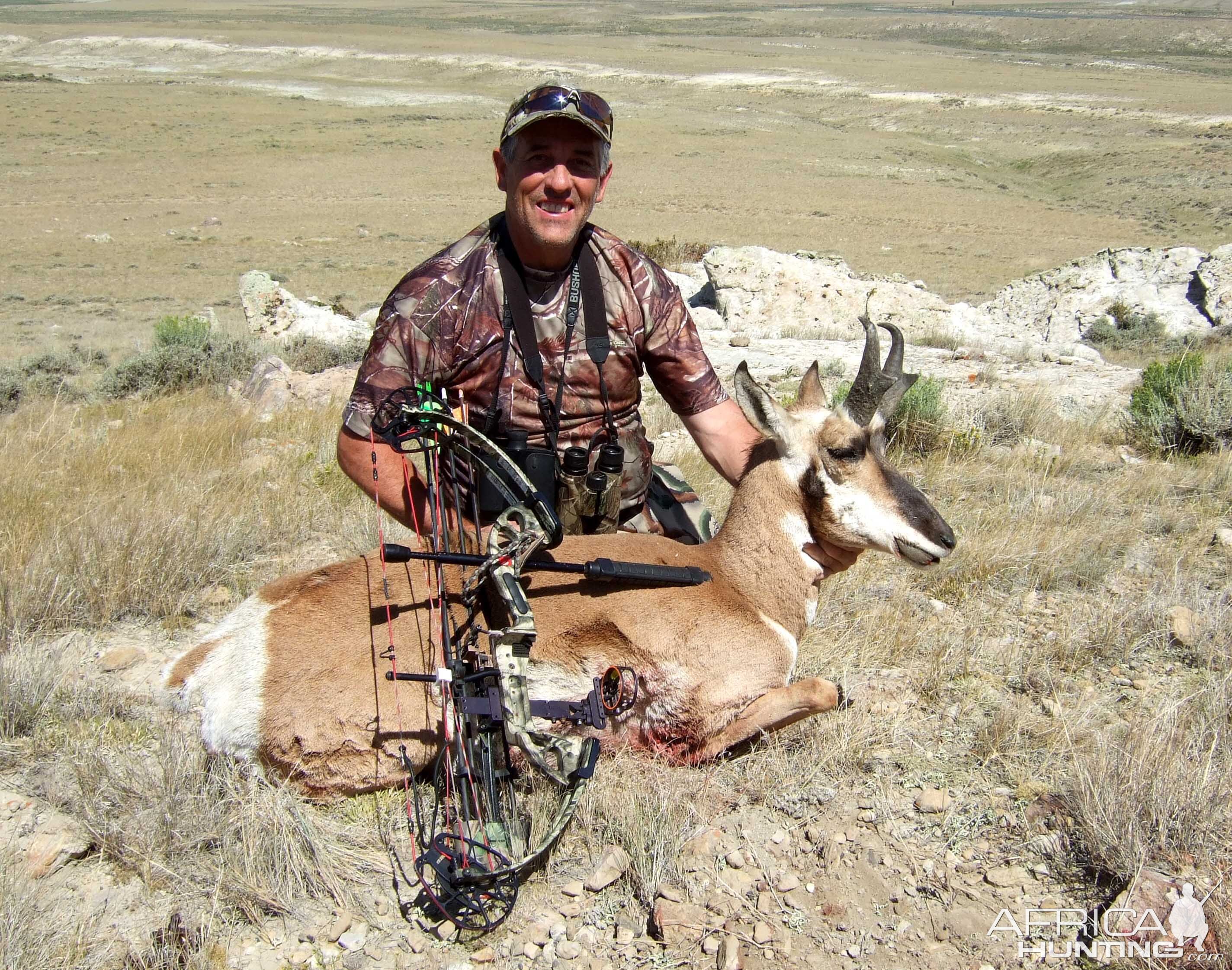 Wyoming Pronghorn Antelope