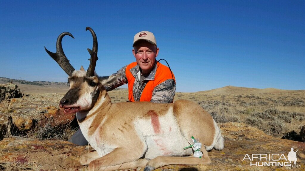 Wyoming USA Hunt Pronghorn