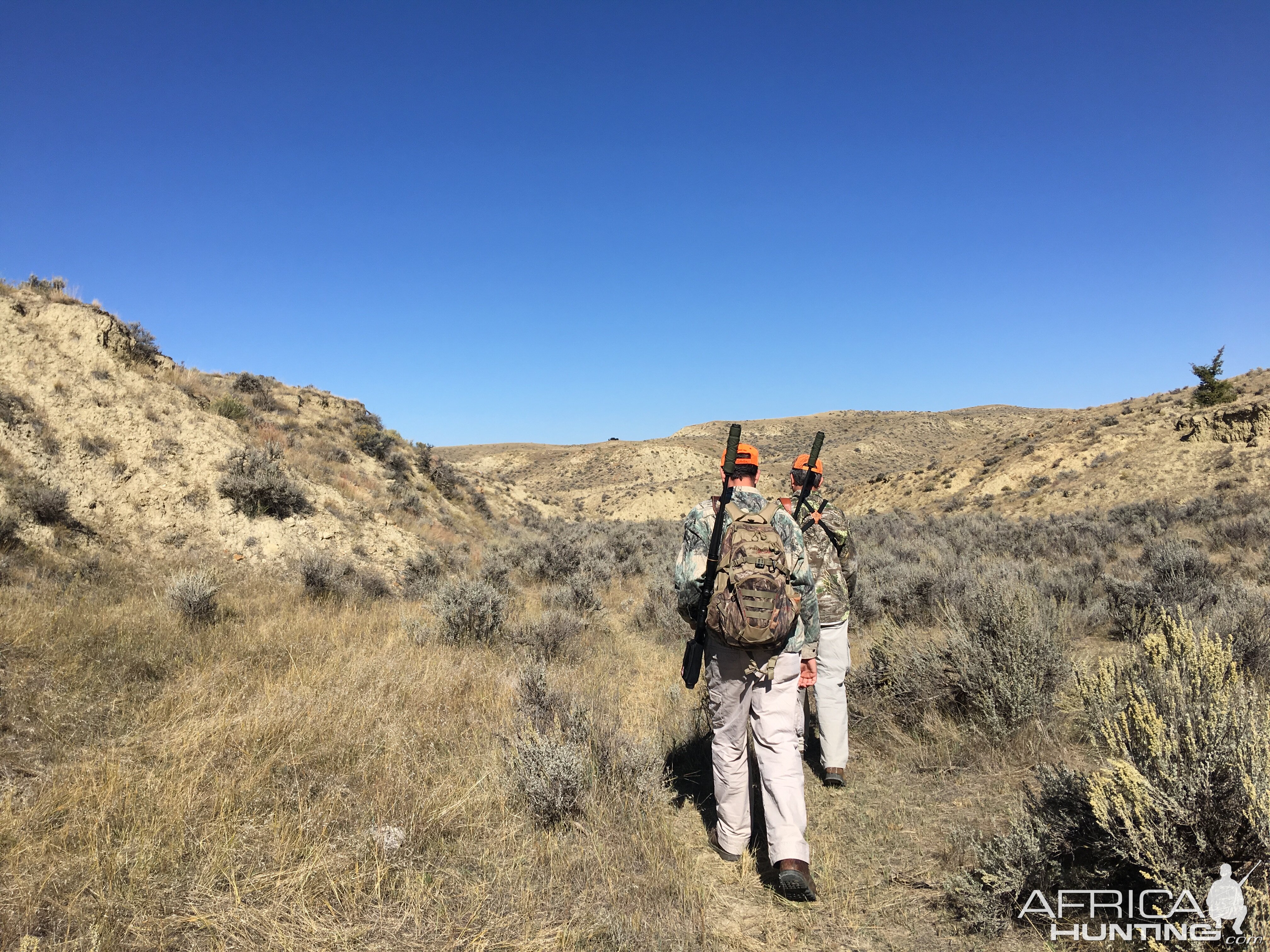 Wyoming USA Hunting Deer & Pronghorn