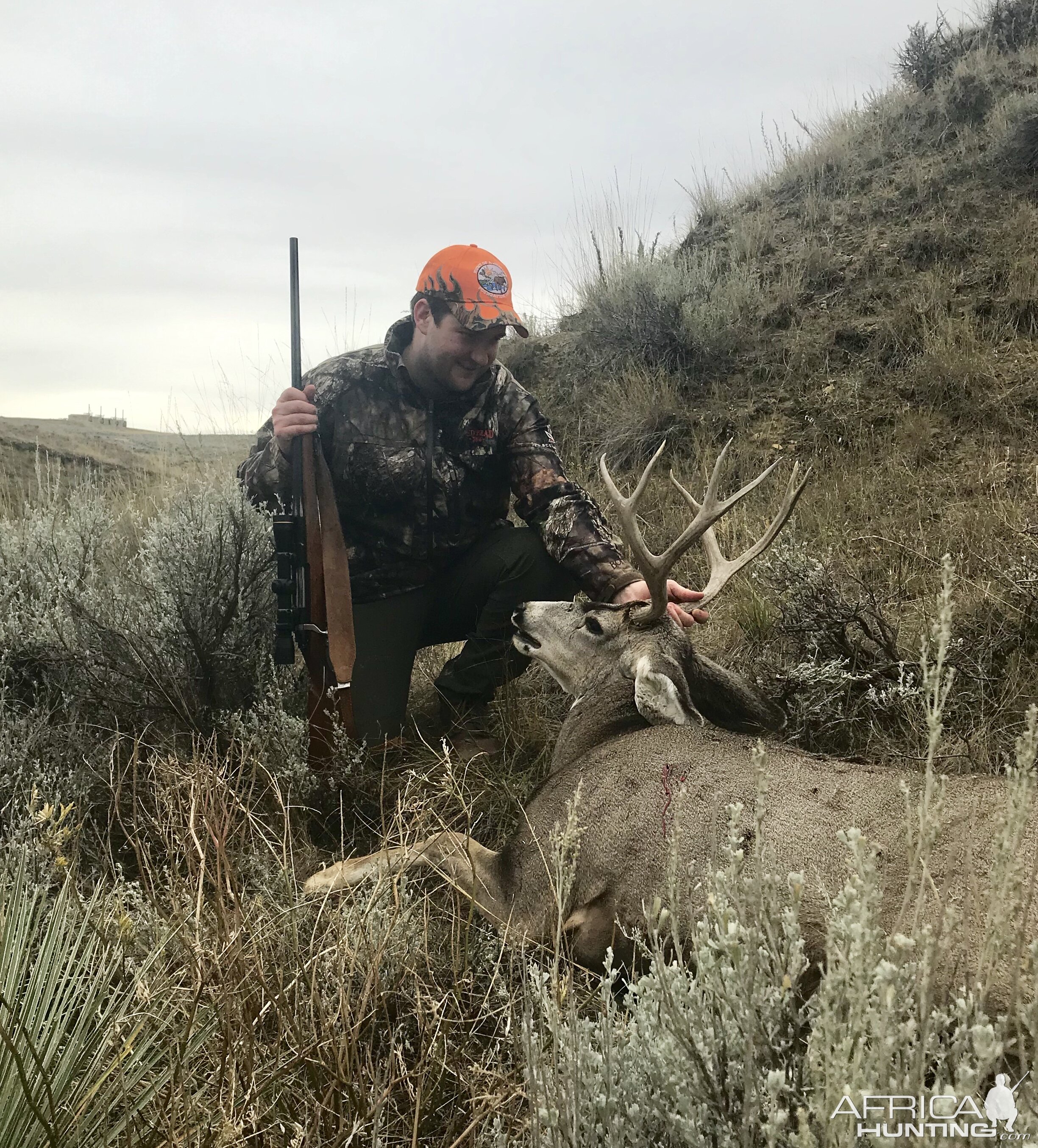 Wyoming USA Hunting Mule Deer