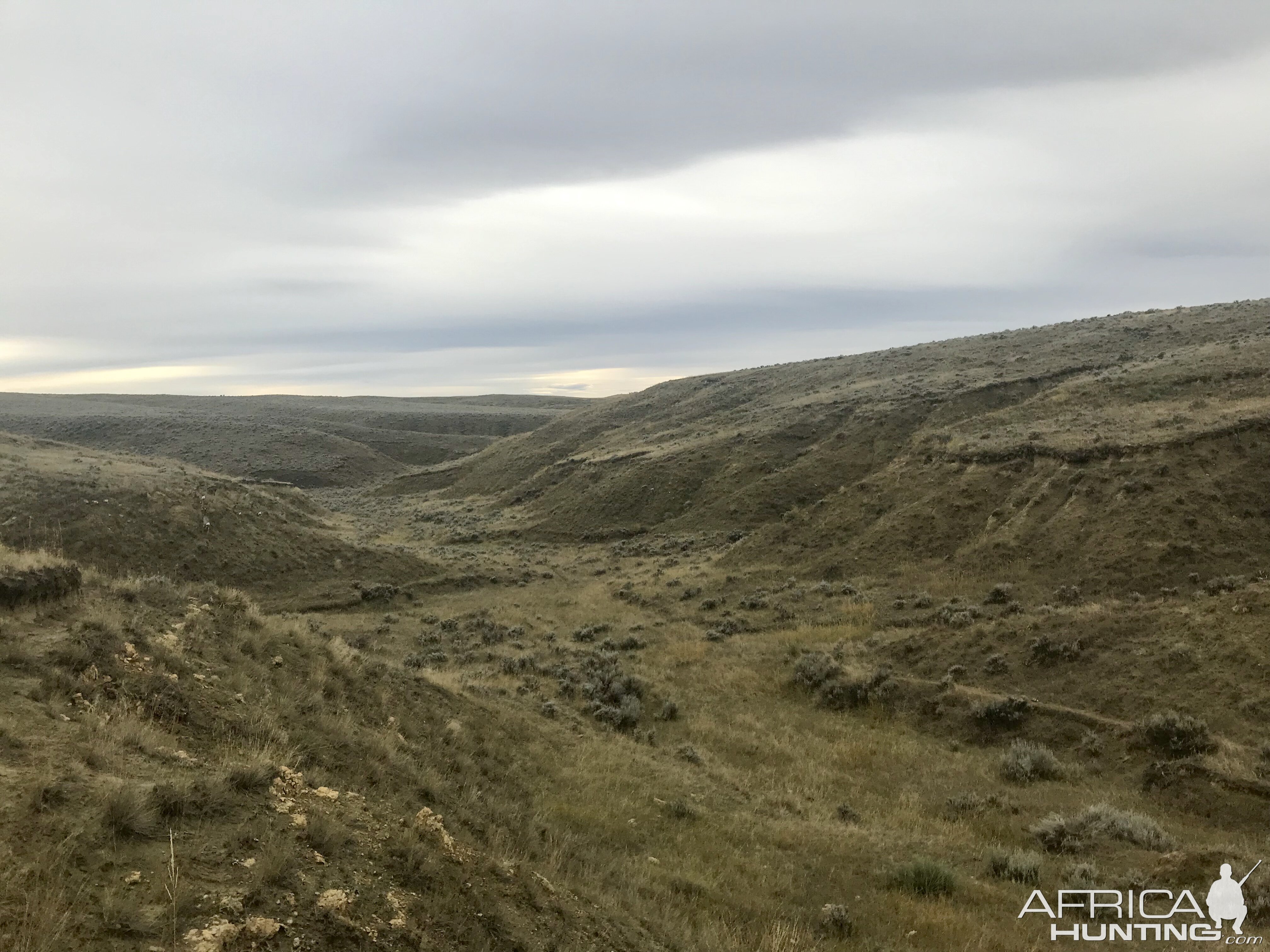 Wyoming USA Hunting