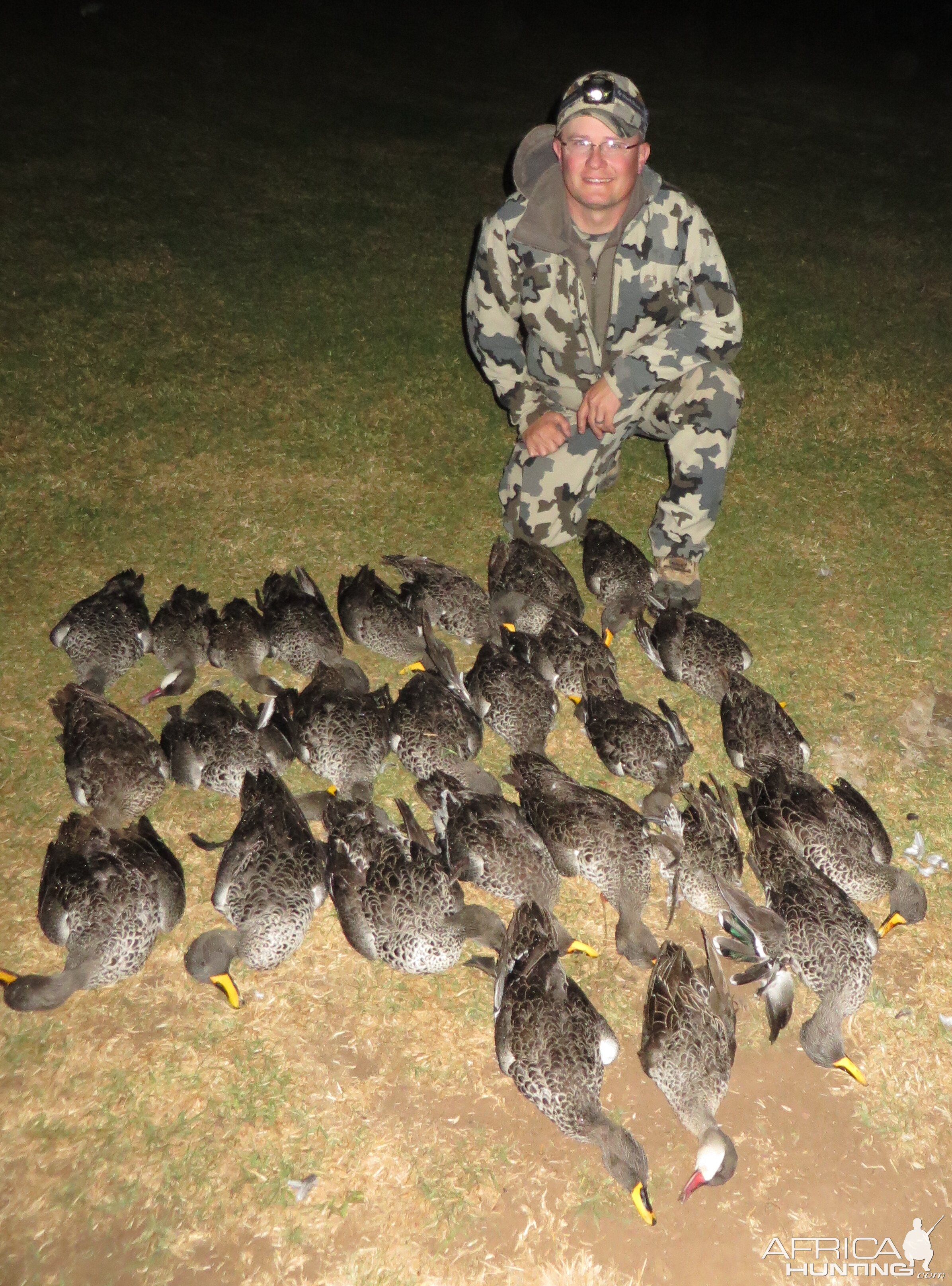 Yellow-billed ducks & Red-billed teal - 2014