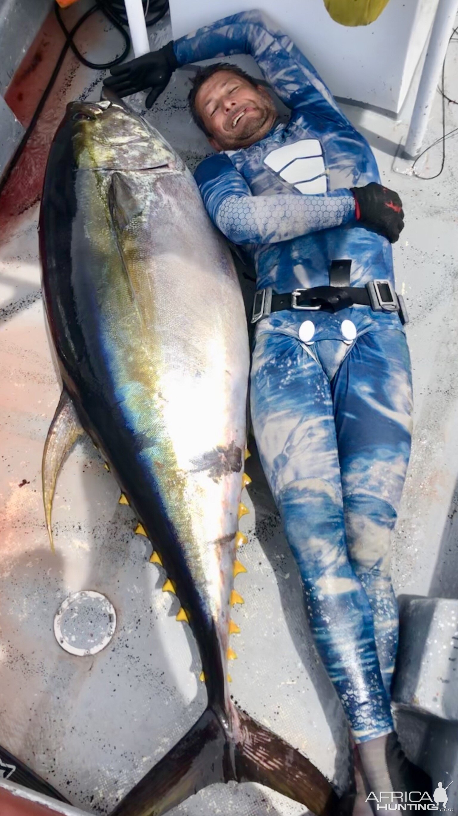 Yellowfin Tuna Spearfishing Panamá
