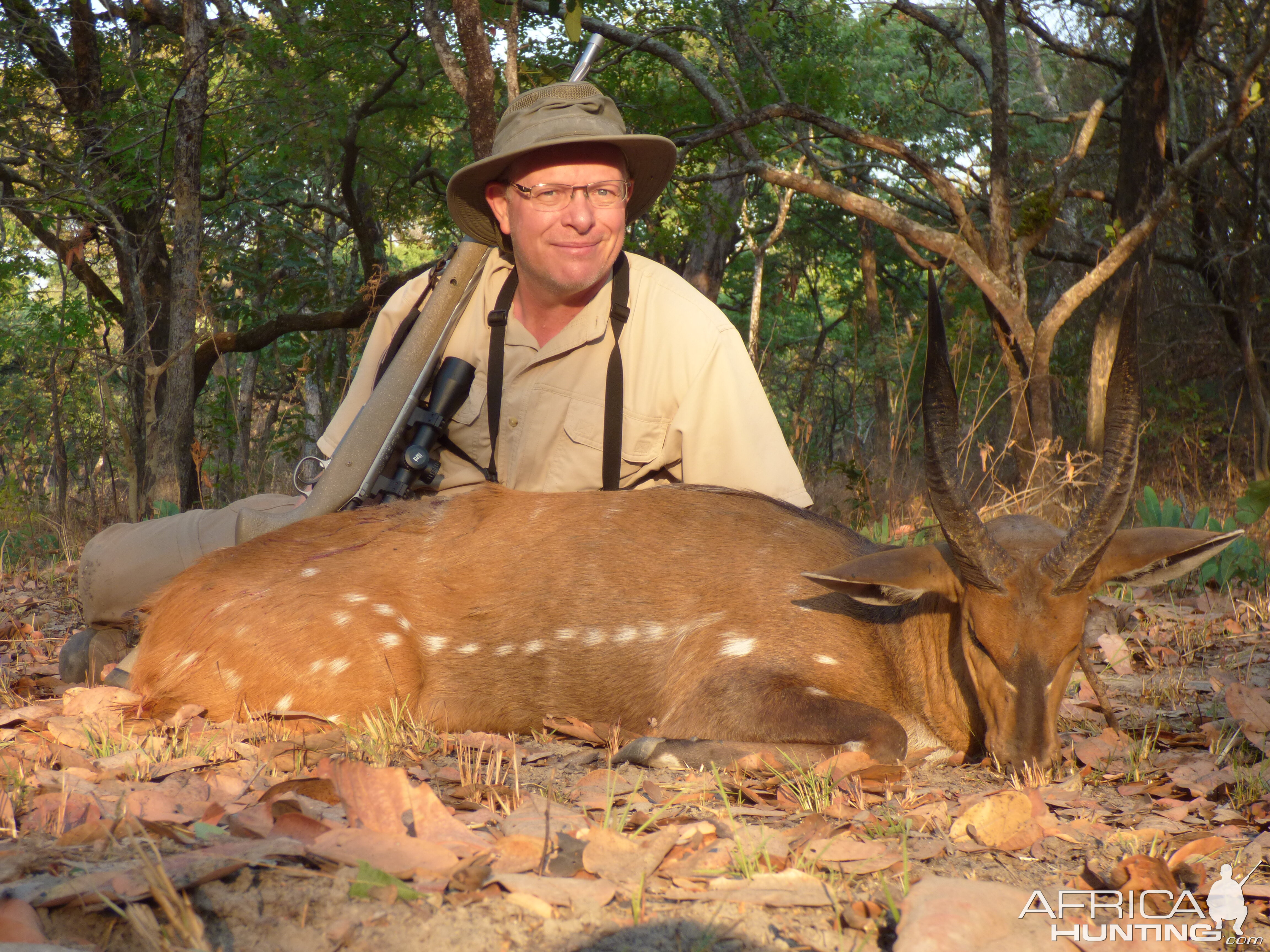 Zambia Bushbuck Hunt