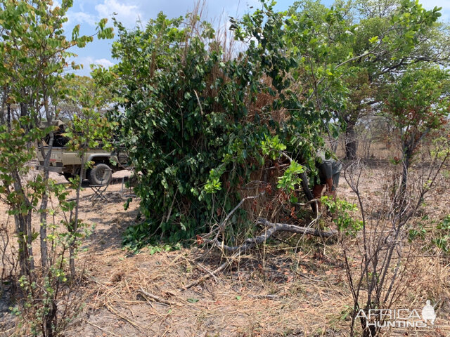 Zambia Hunt