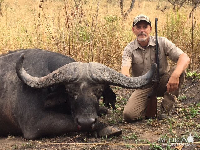 Zambia Hunting 49" Inch Cape Buffalo