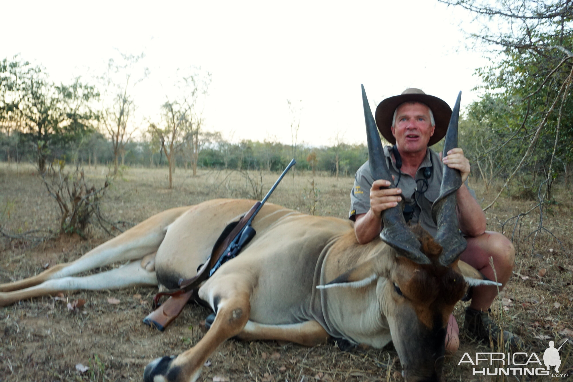 Zambia Hunting Eland