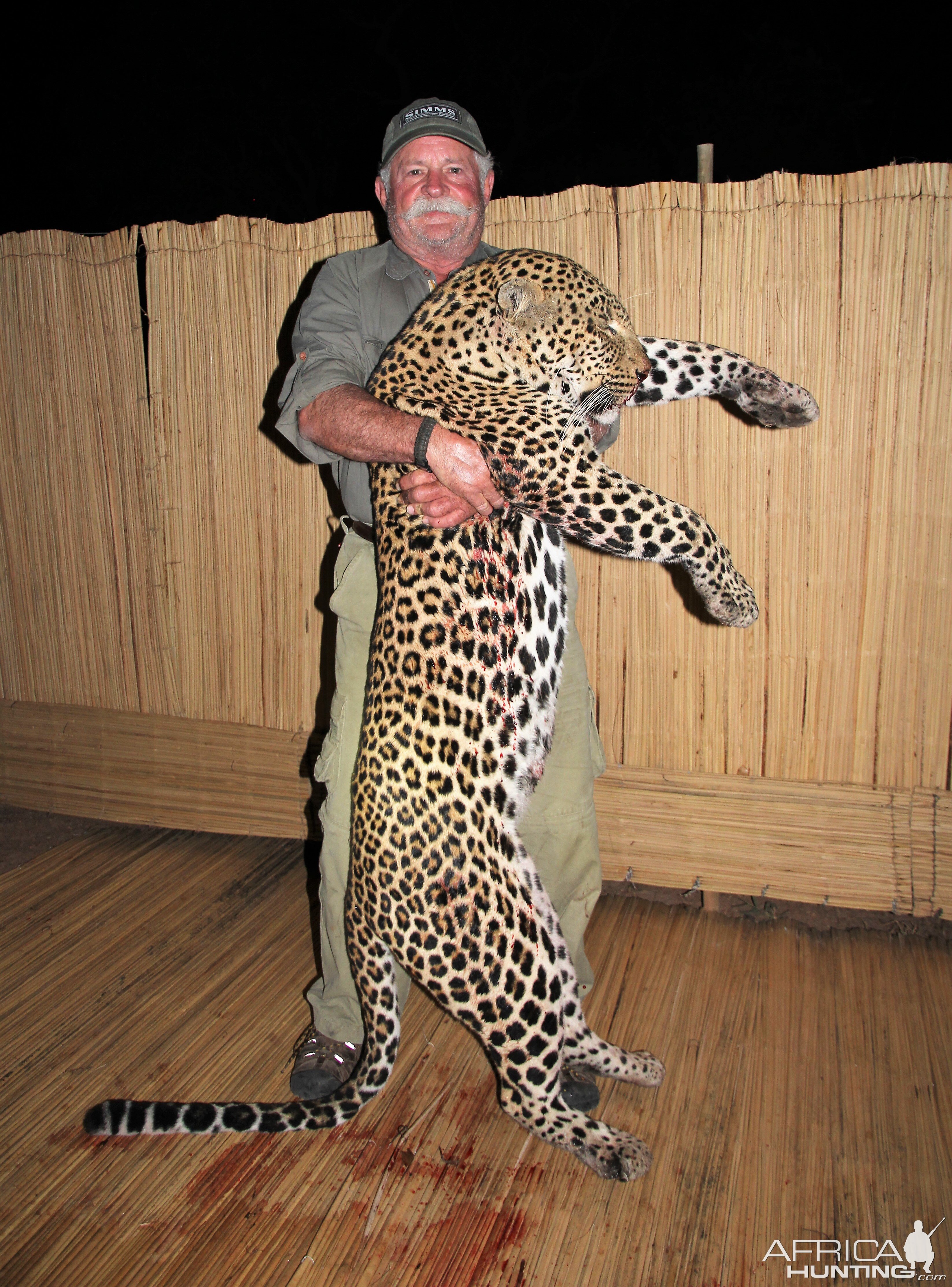 Zambia Hunting Leopard