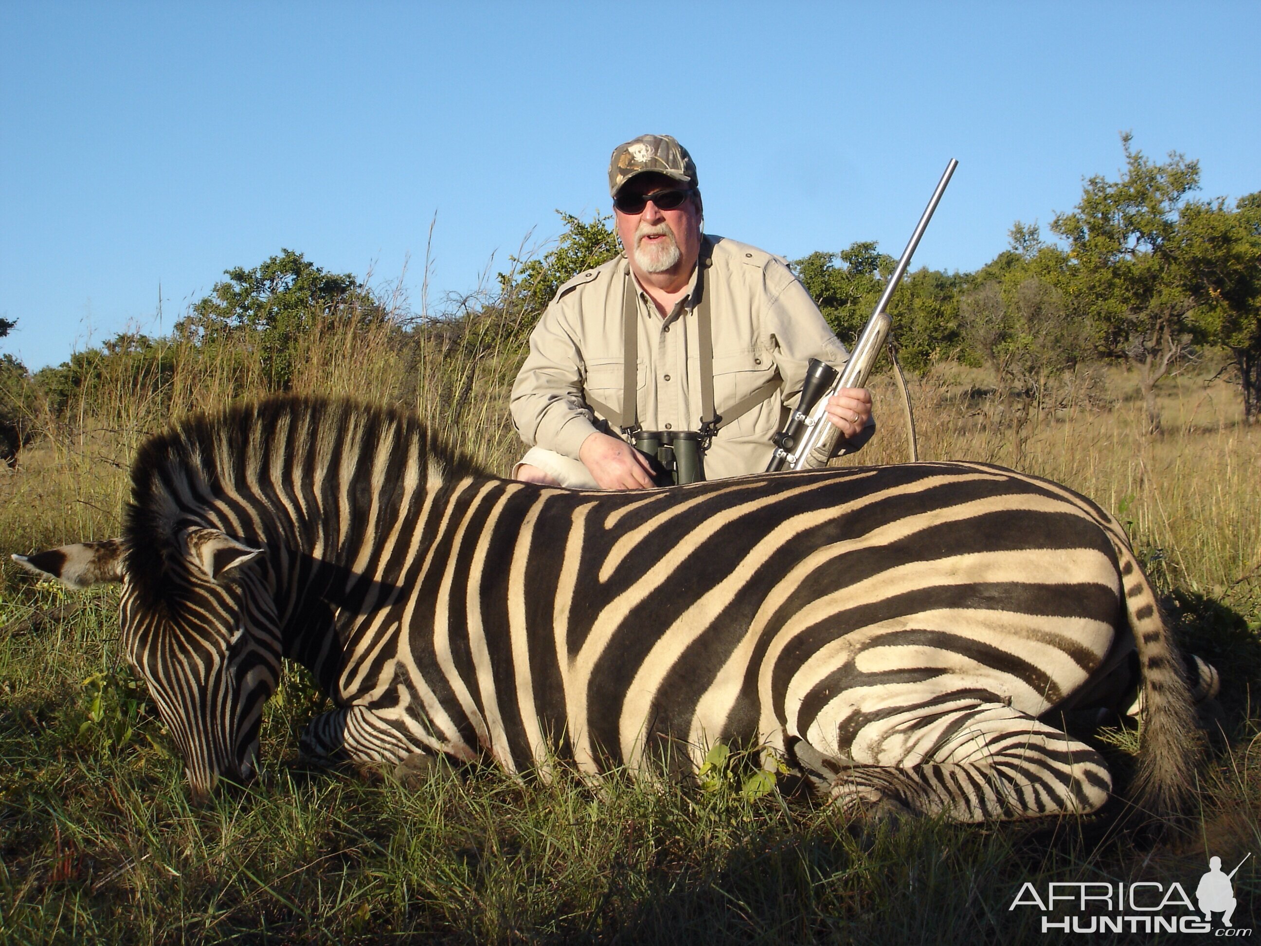 Zebra 2014