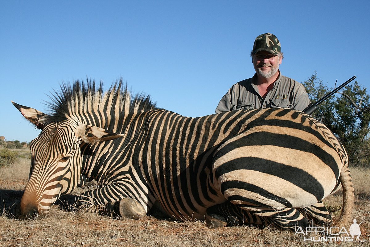 Zebra Hartmann